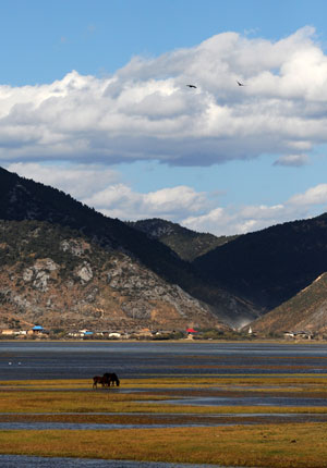 Picture taken on Oct. 22, 2009 shows a view of Shangri-la, southwest China's Yunnan Province. (Xinhua/Li Jundong)