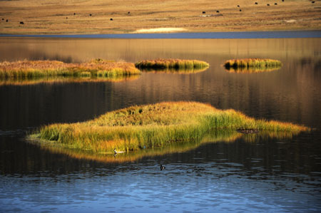 Picture taken on Oct. 23, 2009 shows a view of Shangri-la, southwest China's Yunnan Province. (Xinhua/Qin Qing)