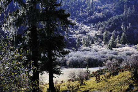 Picture taken on Oct. 23, 2009 shows a view of Shangri-la, southwest China's Yunnan Province. (Xinhua/Ren Yong)