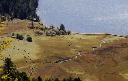 Picture taken on Oct. 23, 2009 shows a view of Shangri-la, southwest China's Yunnan Province. (Xinhua/Ren Yong)