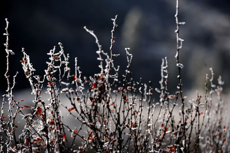 Picture taken on Oct. 23, 2009 shows a view of Shangri-la, southwest China's Yunnan Province. (Xinhua/Qin Qing)