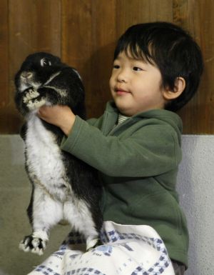 Japan's Prince Hisahito picks up a rabbit as he visits the Ueno Zoological Gardens in Tokyo October 26, 2009.(Xinhua/Reuters Photo)