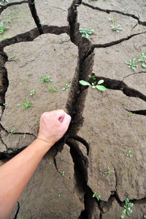 Cracks are seen on the riverbed of Xiangjiang River in Changsha, capital of central China's Hunan Province, Oct. 28, 2009. The waterlevel of Xiangjiang River reached 25 meters on Wednesday, the lowest in history, due to short rainfall. [Xinhua]