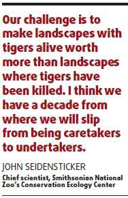 Two decades before tigers stop roaring, say conservationists