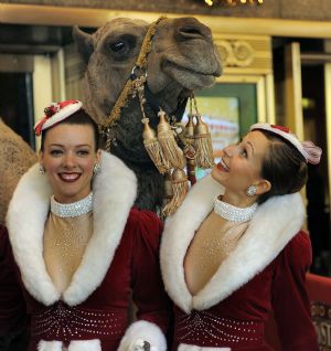 radio city music hall christmas spectacular animals