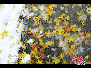 A heavy snow transformed Beijing into a winter wonderland on Oct 31, giving late-night Halloween goers an extra spook. It is the earliest first snow in Beijing in 22 years. [Photo by Jia Liang] 