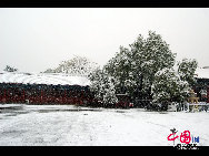 A heavy snow transformed Beijing into a winter wonderland on Oct 31, giving late-night Halloween goers an extra spook. It is the earliest first snow in Beijing in 22 years. [Photo by Jia Liang]