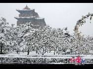 A heavy snow transformed Beijing into a winter wonderland on Oct 31, giving late-night Halloween goers an extra spook. It is the earliest first snow in Beijing in 22 years. [Photo by Jia Liang]