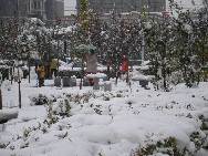 A heavy snow transformed Beijing into a winter wonderland on Oct 31, giving late-night Halloween goers an extra spook. It is the earliest first snow in Beijing in 22 years. [Photo by Wang Yu]