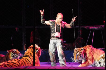 A Russian tiger trainer performs with tigers during the 12th China Wuqiao International Circus Festival in Shijiazhuang, capital of north China's Hebei Province, Nov. 2, 2009. (Xinhua/Gong Zhihong)