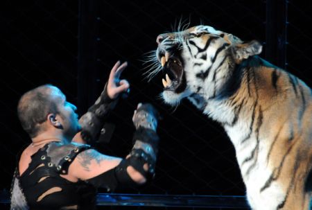 A Russian tiger trainer performs with a tiger during the 12th China Wuqiao International Circus Festival in Shijiazhuang, capital of north China's Hebei Province, Nov. 2, 2009. (Xinhua/Gong Zhihong)