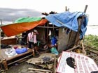 At least 14 dead after Typhoon Mirinae lashes Philippines
