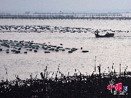 Dongshan Island is anatural wonderland located in the Sortheast of China,Fujian Province. It is under the Dongshan County's jurisdicton and is the second largest island of Fujian Province.Dongshan Island is 210 miles from Hong Kong, 70 and 110 miles from Xiamen and Taiwam respectively. Its total area is 194 square miles and its average temperature in January is 13.1 and 27.3 in july.[Photo by Jian Ximei]