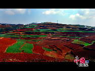 In Yunnan Province of China, there is a fairyland famous for its dazzling red earth. Adorned with colorful plants that change shades in different seasons, it creates a scene that reminds one of a rainbow falling on earth. [Photo by Liu Guoxing]