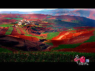 In Yunnan Province of China, there is a fairyland famous for its dazzling red earth. Adorned with colorful plants that change shades in different seasons, it creates a scene that reminds one of a rainbow falling on earth. [Photo by Liu Guoxing]