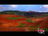 In Yunnan Province of China, there is a fairyland famous for its dazzling red earth. Adorned with colorful plants that change shades in different seasons, it creates a scene that reminds one of a rainbow falling on earth. [Photo by Liu Guoxing]