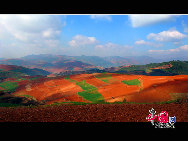 In Yunnan Province of China, there is a fairyland famous for its dazzling red earth. Adorned with colorful plants that change shades in different seasons, it creates a scene that reminds one of a rainbow falling on earth. [Photo by Liu Guoxing]