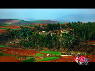 In Yunnan Province of China, there is a fairyland famous for its dazzling red earth. Adorned with colorful plants that change shades in different seasons, it creates a scene that reminds one of a rainbow falling on earth. [Photo by Liu Guoxing]