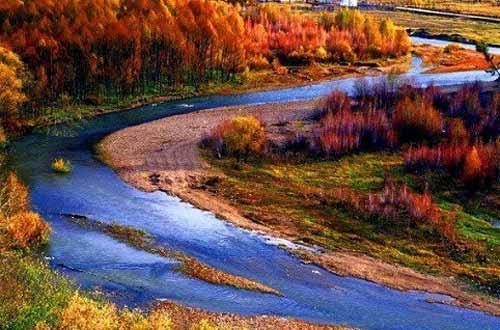 With leaves turning flaming red and warm golden colors, the forest in autumn resembles a painter's palette.