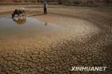 Yingtan City in Jiangxi suffers from drought