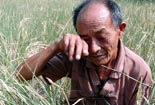 Guangdong experiences drought