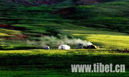 A grassland at dusk in Tibet. (Photo: tibet.cn)