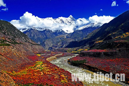 The beauty of Namjiagbarwa Peak in Nyingchi Prefecture, Tibet Autonomous Region. (Photo: tibet.cn) 