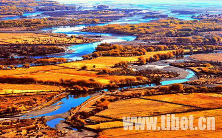 Photo shows an autumn view of the Nyang River in Tibet. (Photo: tibet.cn)