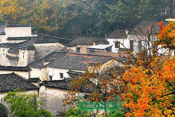 Under the precinct of the ancient Town of Hongcun, Tachuan, also known as Tashang, is a village located in Yixian county in east China's Anhui province. Each autumn, Tachuan is a paradise for photographers as it is full of colors and scenic beauty. The layout of the village aligns with the mountains to create a pagoda shape. [sohu.com] 