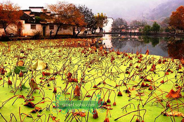 Under the precinct of the ancient Town of Hongcun, Tachuan, also known as Tashang, is a village located in Yixian county in east China's Anhui province. Each autumn, Tachuan is a paradise for photographers as it is full of colors and scenic beauty. The layout of the village aligns with the mountains to create a pagoda shape. [sohu.com] 