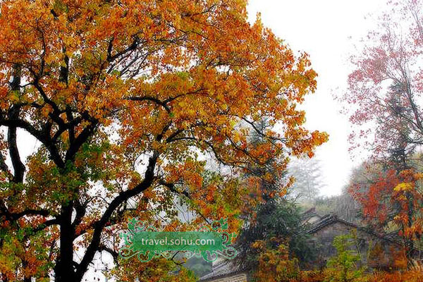 Under the precinct of the ancient Town of Hongcun, Tachuan, also known as Tashang, is a village located in Yixian county in east China's Anhui province. Each autumn, Tachuan is a paradise for photographers as it is full of colors and scenic beauty. The layout of the village aligns with the mountains to create a pagoda shape. [sohu.com] 