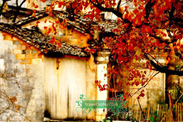 Under the precinct of the ancient Town of Hongcun, Tachuan, also known as Tashang, is a village located in Yixian county in east China's Anhui province. Each autumn, Tachuan is a paradise for photographers as it is full of colors and scenic beauty. The layout of the village aligns with the mountains to create a pagoda shape. [sohu.com] 