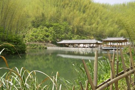 Wood Pit Bamboo Sea is a large bamboo grove is situated at the foot of deep mountain, which is located only about 5 kilometers from the heart of Hongcun Village northeast of Yi County. Wood Pit, which lies in an area with a steep incline, can nevertheless be accessed by car, as there is a local road leading from the village to the mountain which passes the bamboo grove.[Global Times] 