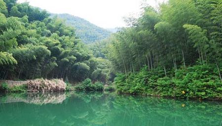 Wood Pit Bamboo Sea is a large bamboo grove is situated at the foot of deep mountain, which is located only about 5 kilometers from the heart of Hongcun Village northeast of Yi County. Wood Pit, which lies in an area with a steep incline, can nevertheless be accessed by car, as there is a local road leading from the village to the mountain which passes the bamboo grove.[Global Times]