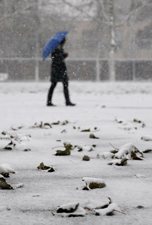 A pedestrian walks in snow at the Xixia Park in Yinchuan, capital of northwest China's Ningxia Hui Autonomous Region, Nov. 10, 2009. Most parts in north and northwest China witnessed a snowfall on Tuesday.[Xinhua]