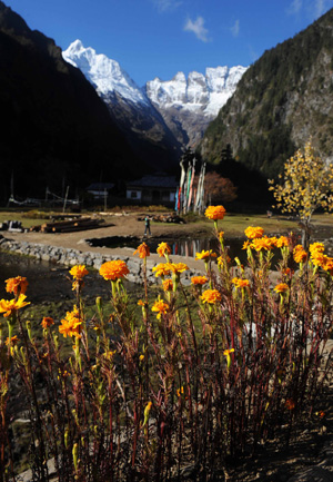 The fall scenery is seen in Yubeng Village, Deqing County in Deqen Tibetan Autonomous Prefecture, southwest China's Yunnan Province.