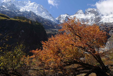 The fall scenery is seen in Yubeng Village of Deqing County in Deqen Tibetan Autonomous Prefecture, southwest China's Yunnan Province. (Xinhua/Lin Yiguang)