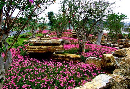 Flower Island in Songshan Lake in Dongguan City, Guangdong Province is like a sea of flowers. Walking across the island, you are greeted by the natural scent, which is relaxing and at times romantic.[Global Times] 