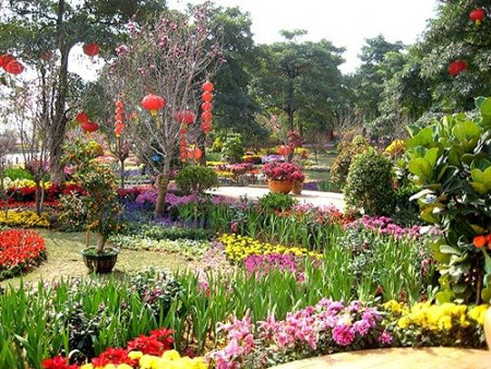 Flower Island in Songshan Lake in Dongguan City, Guangdong Province is like a sea of flowers. Walking across the island, you are greeted by the natural scent, which is relaxing and at times romantic.[Global Times]