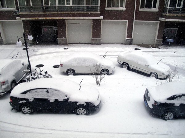 Vehicles are covered by heavy snow ni Shenyang, capital of northeast China&apos;s Liaoning Province, on Nov. 13, 2009. The heaviest snowfall this winter hit Liaoning Province since the afternoon of Nov. 12. [Xinhua]