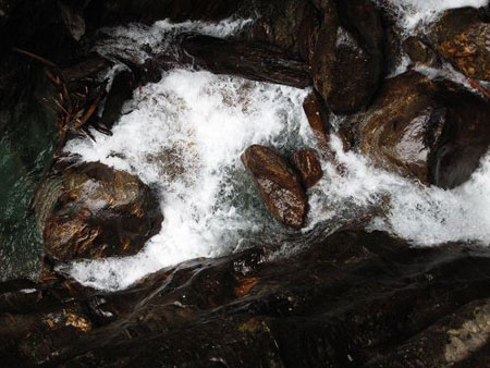 Zhangmu Town is located in the middle of the south slope of the Himalayan Mountains. The mild climate, beautiful scenery together with its special location constitutes its great potential to develop tourism. It's also part of the major route which is always chosen by foreign tourist groups and hiking expeditions. [Photo: People's Daily Online]