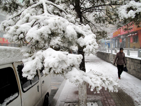 A woman walks in snow on a snow-covered road in northeast China's Jilin Province, on Nov. 13, 2009. [CFP]