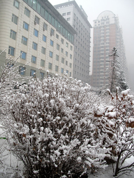 Heavy snowfall hits northeast China's Jilin Province, on Nov. 13, 2009. [CFP]