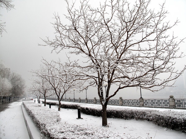 Heavy snowfall hits northeast China's Jilin Province, on Nov. 13, 2009. [CFP]