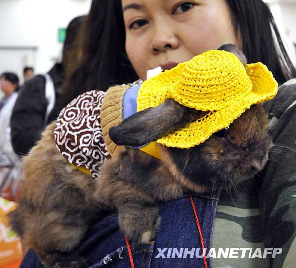 Owners display their rabbit in fancy dress and dark goggles during a rabbit fashion contest at the Rabbit Festa in Yokohama city in Kanagawa prefecture, suburban Tokyo. [Xinhua/AFP]