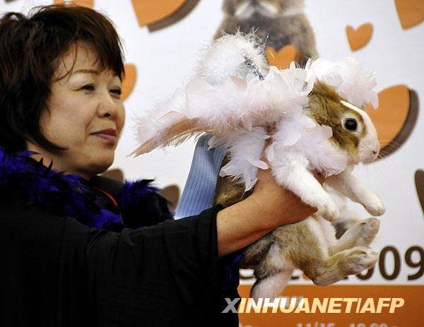 Owners display their rabbit in fancy dress and dark goggles during a rabbit fashion contest at the Rabbit Festa in Yokohama city in Kanagawa prefecture, suburban Tokyo. [Xinhua/AFP]