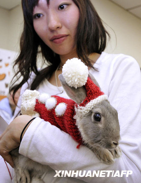 Owners display their rabbit in fancy dress and dark goggles during a rabbit fashion contest at the Rabbit Festa in Yokohama city in Kanagawa prefecture, suburban Tokyo. [Xinhua/AFP]