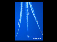 A group of J-7GB air fighters perform during an air force show in Beijing, November 15, 2009.[Xinhua]