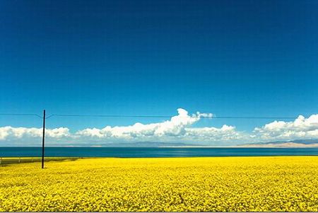 Qinghai Lake is China's largest inland lake and its largest salt-water lake. It is one of the top five most beautiful lakes in China ranked by China National Geographic magazine. (Photo: Global Times)
