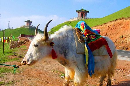 Riyue Mountain (Sun-and-Moon Mountain), part of the Qilian Mountain Range, is located in the west of Huangyuan County, Qinghai Province. In the past, it was a vital communications center between central China and the southwest frontiers as well as the west regions. (Photo: Global Times)